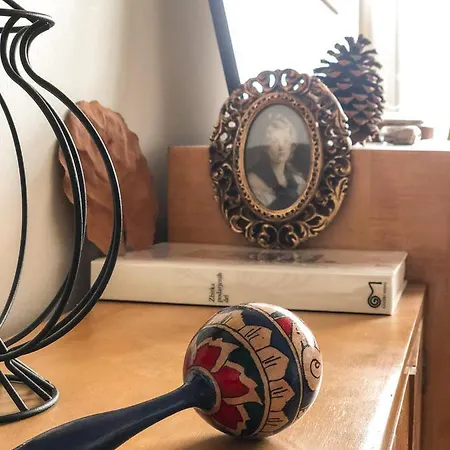 Retro Chic Studio In Trnovo Любляна